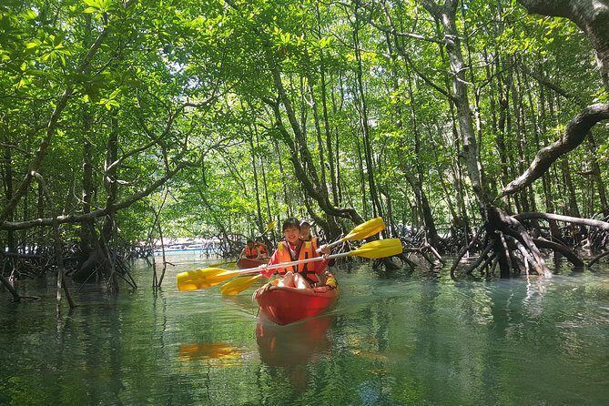 5 Hours Kilim Mangrove Kayaking Sharing Tour (With Hotel Pickup) - 9:00 am Pickup and a Smooth Start-to-Finish Flow