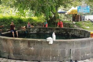 Batu Caves,Waterfalls and Hot Springs Tour With Lunch - Pickup at 9:00 and the Small-Group Pace That Actually Helps
