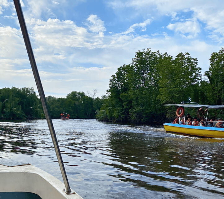 Bongawan River Cruise: Proboscis Monkey & Fireflies Mangrove - Bongawan River Cruise: how you actually spot proboscis monkeys