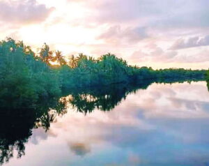 Bongawan Wetland: Proboscis Monkey and Fireflies Shared Tour - Getting there from Kota Kinabalu: the 2 PM pickup and travel time
