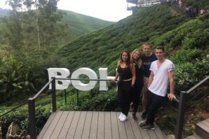 Cameron Highland Best Day Tour from Ipoh with Lunch ( Day Trip) - Stop 2: Orchid and Rose Garden near Kea Farm (extra admission)