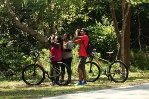 Countryside Biking Tour in Langkawi - Meeting JungleWalla in Ayer Hangat: the logistics that matter