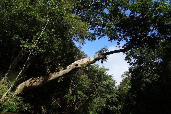 Day Tour Aborigine Village @ Rainforest Taman Negara + Batu Caves - Boat Through Rapids and the Aborigine Village Experience