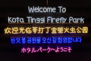 Firefly Tour Johor Bahru@Kota Tinggi Firefly Park - Getting There and Timing: 7:15 pm Start and Evening Departures