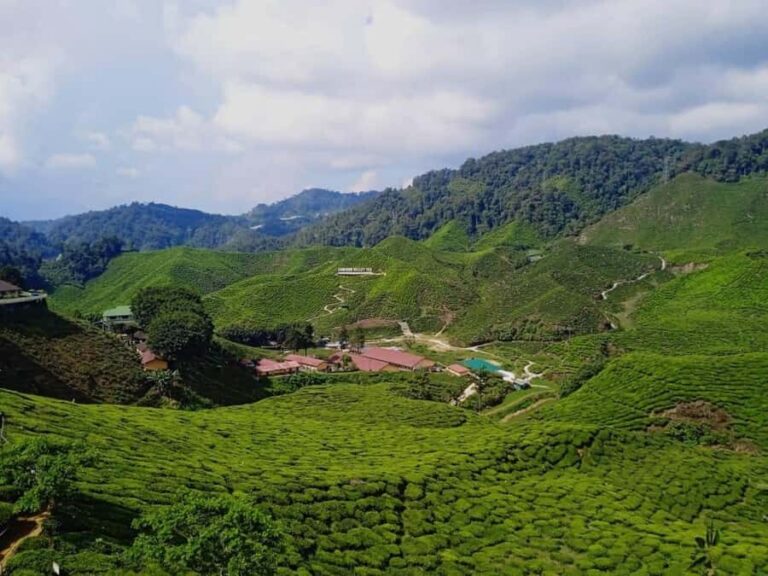 From Kuala Lumpur: Cameron Highlands Private or Join In Tour - Price and logistics: what you pay, what you’ll still need to cover