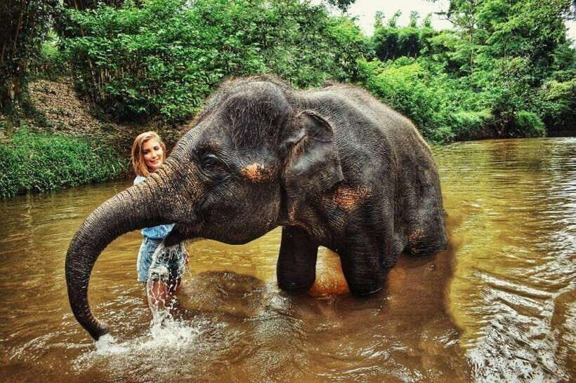From Kuala Lumpur: Elephant Sanctuary Guided Tour - A Day With Rescued Asian Elephants at Kuala Gandah
