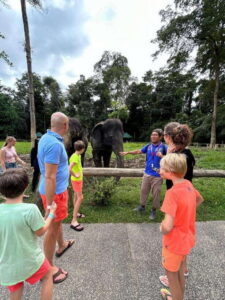 From Kuala Lumpur: Elephant Sanctuary Guided Tour - Price and What You Actually Get for $150