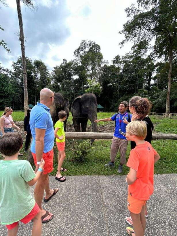 From Kuala Lumpur: Elephant Sanctuary Guided Tour - Price and What You Actually Get for $150