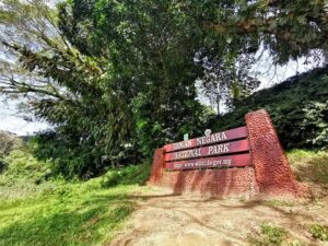 From Kuala Lumpur: Full Day Tour to Taman Negara - The guided jungle trek: what you’re meant to notice