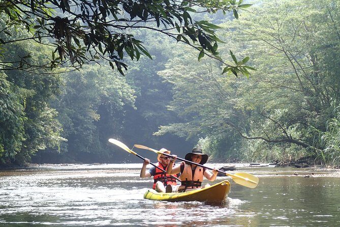 Fun Filled Kayaking Adventure in Kuching - The 6-Hour Flow: From Safety Brief to River Breaks