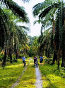 George Town, Penang: Malay Countryside Cycling - Getting there: the Lebuh Pantai pickup and van transfer