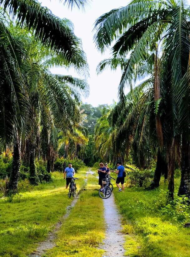 George Town, Penang: Malay Countryside Cycling - Getting there: the Lebuh Pantai pickup and van transfer