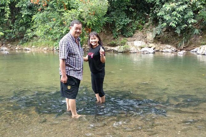Kinabalu Park Day Trip - Key things to know before you go
