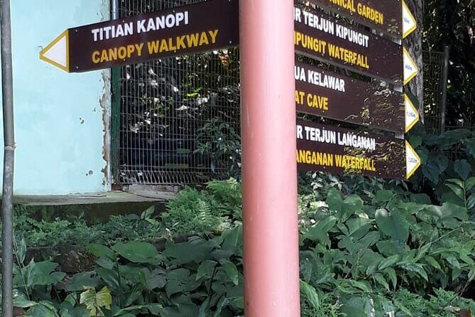 Kinabalu Park Day Trip - Poring Hot Spring area: Canopy Walk plus Kipungit Waterfall