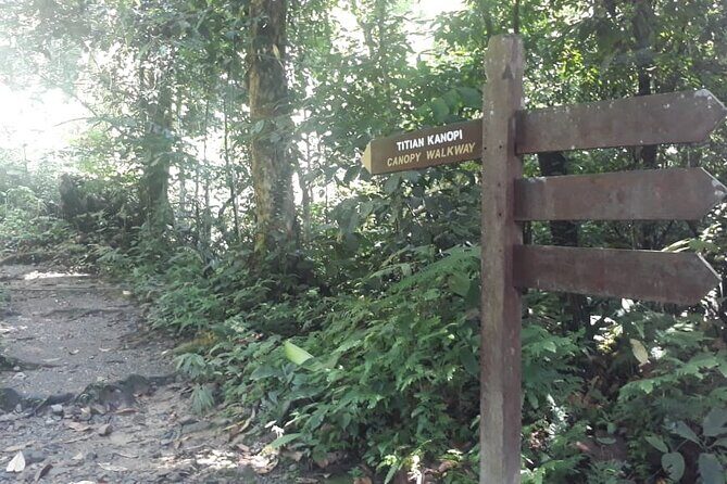 Kinabalu Park Day Trip - Traveling in comfort: the private driver advantage