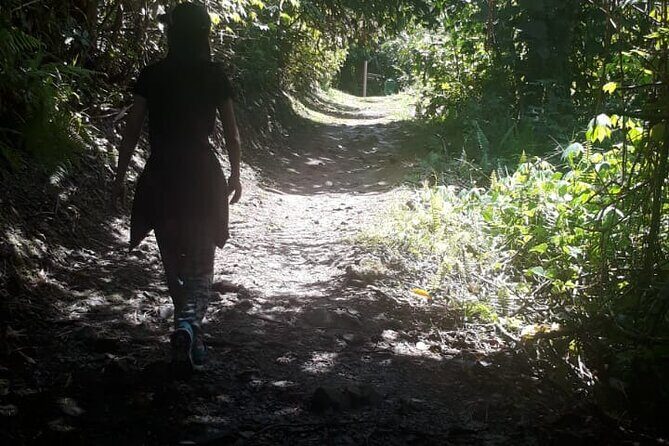 Kinabalu Park Day Trip - Price and value: is $115 per person worth it?