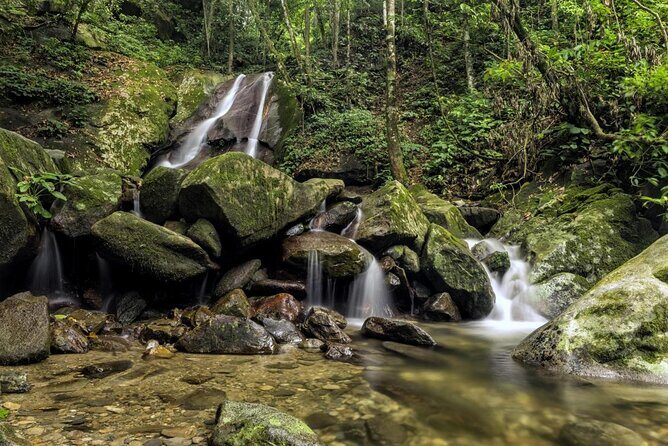 Kinabalu Park & Poring Hot Springs Tour with Desa Dairy Farm - Key things I’d prioritize on this tour