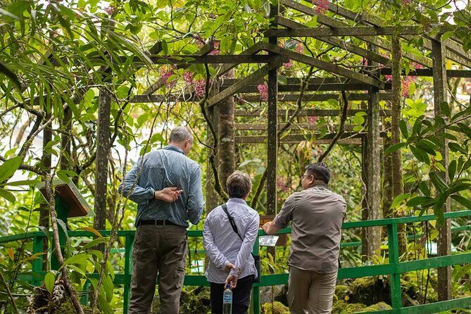 Kinabalu Park & Poring Hot Springs Tour with Desa Dairy Farm - The day’s rhythm: 7:15–8 hours of action, not a “slow travel” day