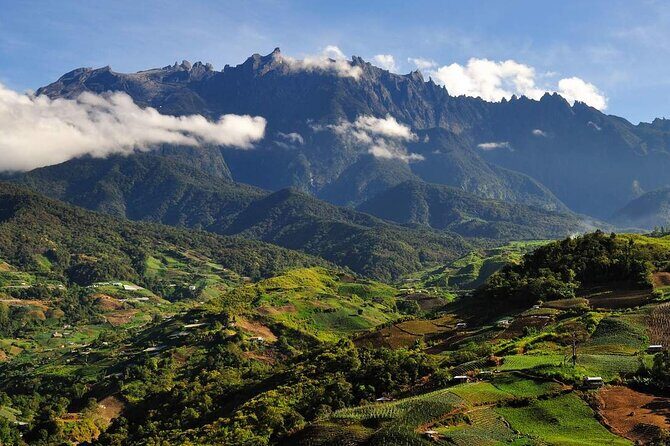 Kinabalu Park & Poring Hot Springs Tour with Desa Dairy Farm - Desa Dairy Farm: the “Little New Zealand” view stop