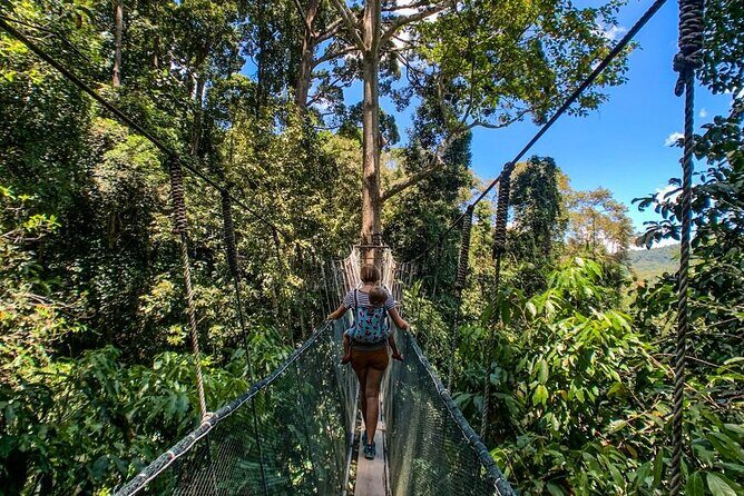 Kinabalu Park & Poring Hot Springs Tour with Desa Dairy Farm - Lunch in between mountain towns: fuel for the canopy and bath