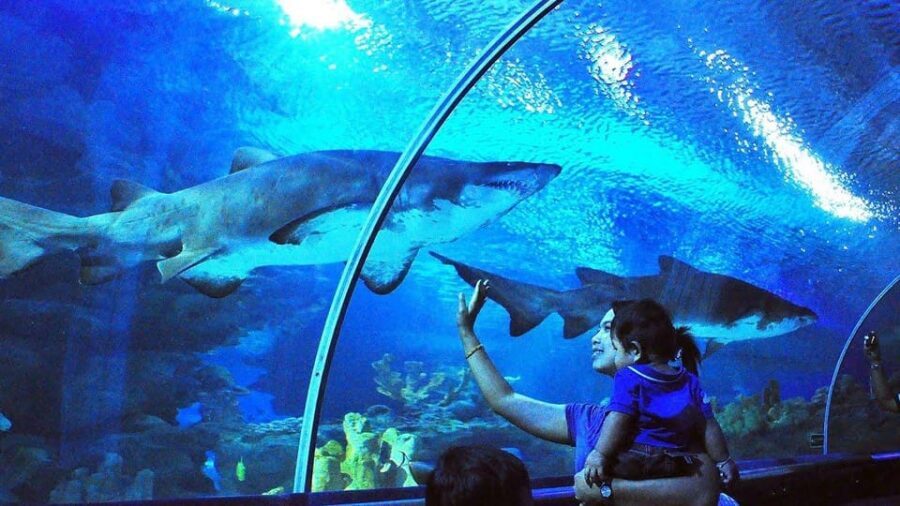 Kuala Lumpur: Aquaria KLCC Entry Ticket - Tickets, timing, and when to go