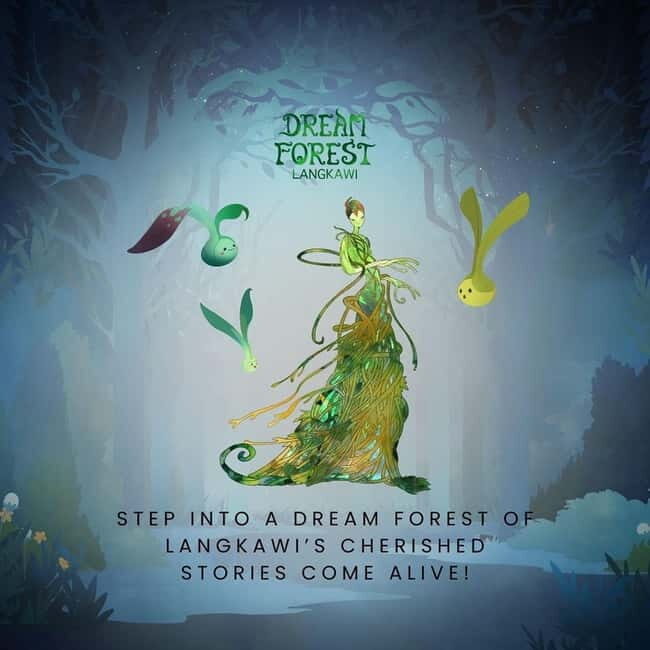 Langkawi: Dream Forest Langkawi Standard Admission Ticket - A Night Walk With Projection Mapping in the Langkawi Trees