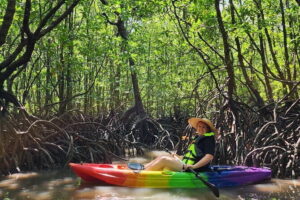 Langkawi Mangrove Kayak Tour by Sham - Kayak setup: comfort gear that actually matters for 4 hours