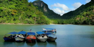 Langkawi: Mangrove Tour with Kilim Geoforest Park & Bat Cave - Price and value: where the $31 really lands