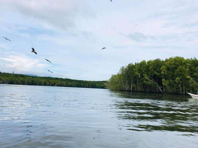 Langkawi: Tanjung Rhu Mangrove Speedboat Tour - The money question: is $21 good value for what you get