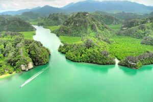 Langkawi UNESCO Kilim Geopark Mangrove & Bat Cave Tour - Wildlife feeding: eagles, stingrays, and what makes it feel real