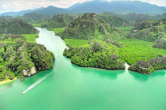 Langkawi UNESCO Kilim Geopark Mangrove & Bat Cave Tour - Wildlife feeding: eagles, stingrays, and what makes it feel real