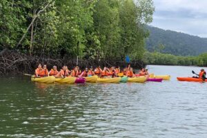 Mangrove Kayaking Tour from Langkawi - Key highlights worth your time