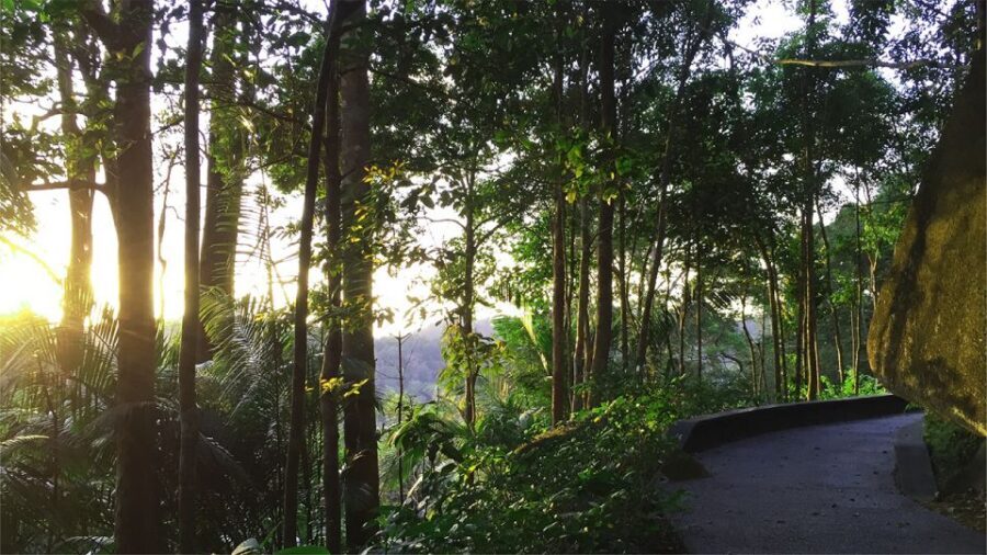 Penang: The Habitat Penang Hill Entry Ticket - Price and value: what the $14 entry ticket covers