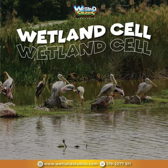 Putrajaya: Wetland Studios Admission Ticket - Sustainability Lessons That Connect to Real Wetlands (Not Just Posters)
