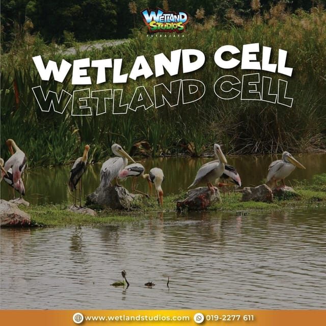 Putrajaya: Wetland Studios Admission Ticket - Scenic Trails: Your Break From Indoors