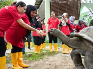 Selangor: Zoo Negara E-Ticket - Why the Giant Panda Conservation Centre Is the Main Event