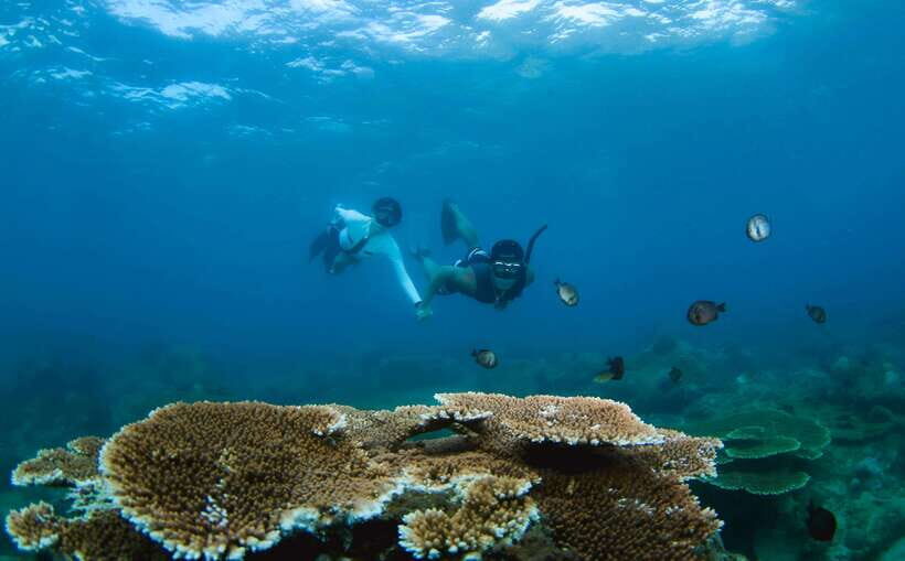 Semporna: Explore 3 Islands Tour Snorkel or Dive & Lunch - Timba-timba island stop: reef time, photos, and a possible closure