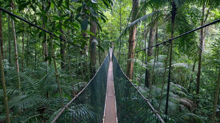 Taman Negara Rainforest Tour with Lata Berkoh Falls - From Kuala Lumpur to Taman Negara: the long road that sets the tone