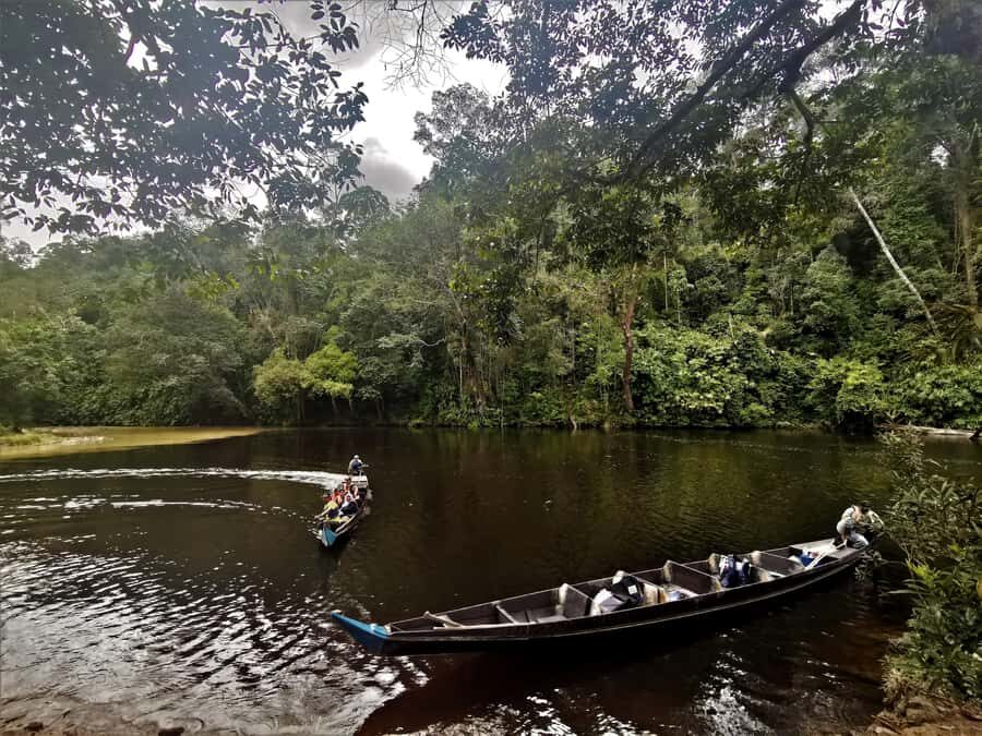 Taman Negara Rainforest Tour with Lata Berkoh Falls - The Orang Asli village with the Batek: skills you can see, not just hear about